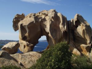 Das Capo D'Orso