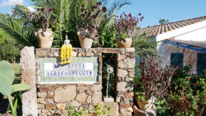 Benvenuti auf dem Agriturismo Costa del Sud